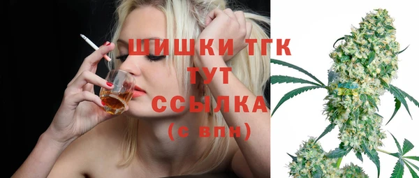 гидропоника Богданович