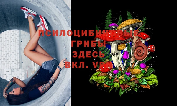 гидропоника Богданович