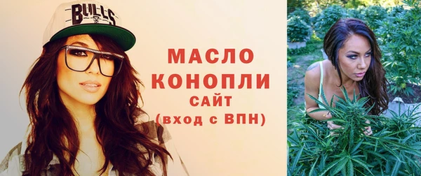 гидропоника Богданович