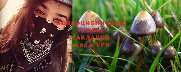 ешки Богородицк