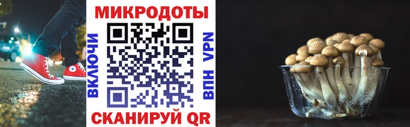 Псилоцибиновые грибы Psilocybe  цена наркотик  Бирюч 